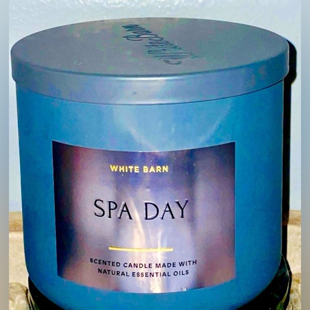 Bath and Body Works Test Store Scent Spa Day 3 wick candle